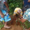 A program of planting forest plants in Homagama (2023-06-07)